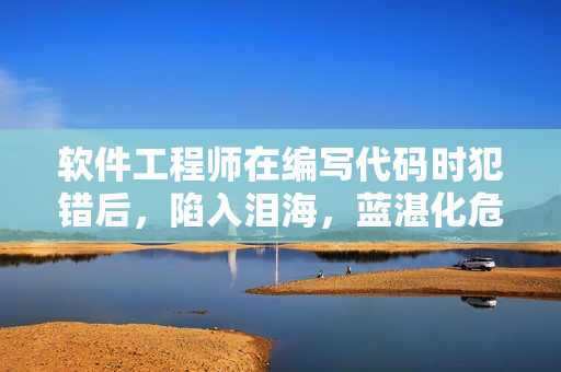 软件工程师在编写代码时犯错后，陷入泪海，蓝湛化危为机帮助解决