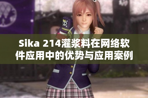 Sika 214灌浆料在网络软件应用中的优势与应用案例