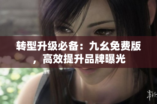 转型升级必备：九幺免费版，高效提升品牌曝光