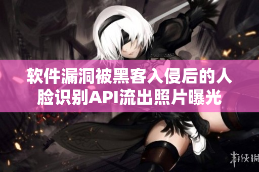 软件漏洞被黑客入侵后的人脸识别API流出照片曝光