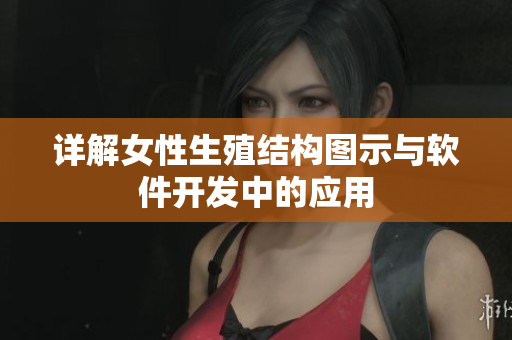 详解女性生殖结构图示与软件开发中的应用