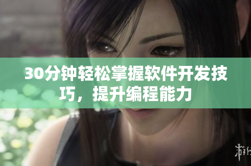 30分钟轻松掌握软件开发技巧，提升编程能力