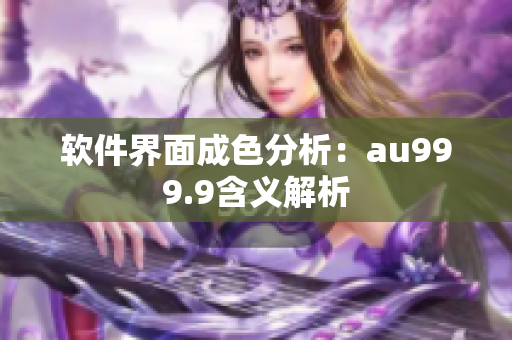 软件界面成色分析：au999.9含义解析