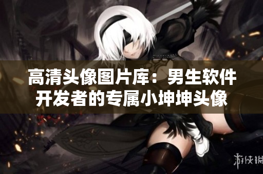 高清头像图片库：男生软件开发者的专属小坤坤头像