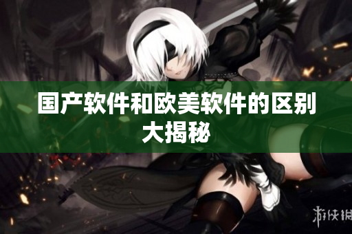国产软件和欧美软件的区别大揭秘