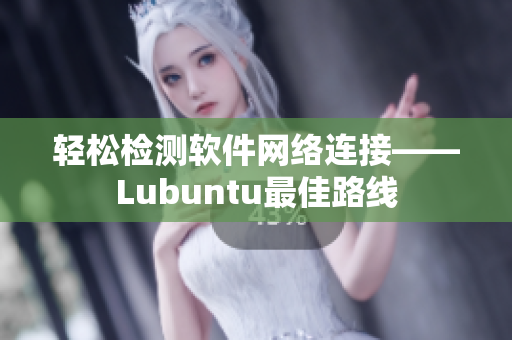 轻松检测软件网络连接——Lubuntu最佳路线