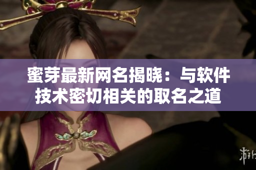 蜜芽最新网名揭晓：与软件技术密切相关的取名之道