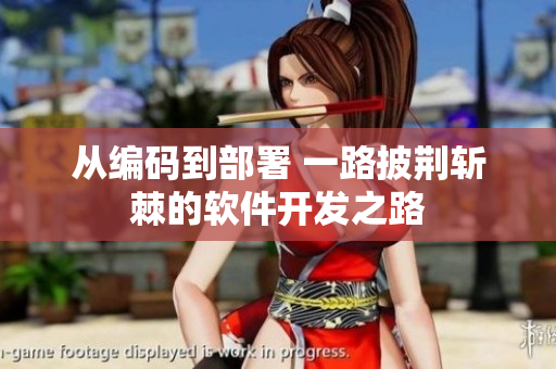 从编码到部署 一路披荆斩棘的软件开发之路