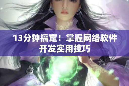 13分钟搞定！掌握网络软件开发实用技巧