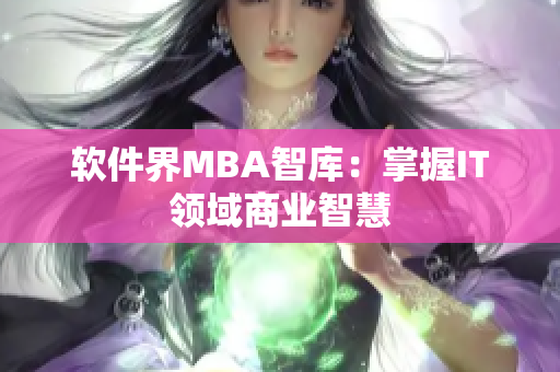 软件界MBA智库：掌握IT领域商业智慧
