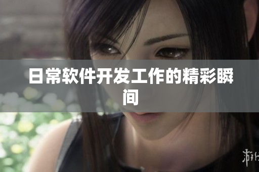 日常软件开发工作的精彩瞬间