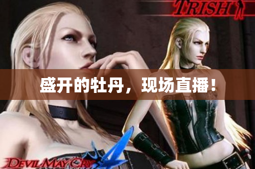 盛开的牡丹，现场直播！