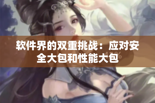 软件界的双重挑战：应对安全大包和性能大包