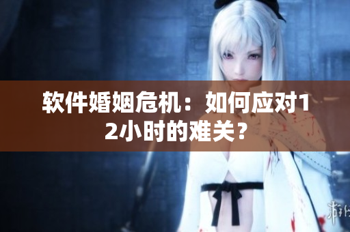 软件婚姻危机：如何应对12小时的难关？