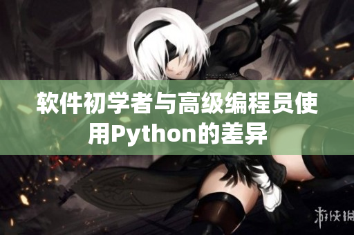 软件初学者与高级编程员使用Python的差异