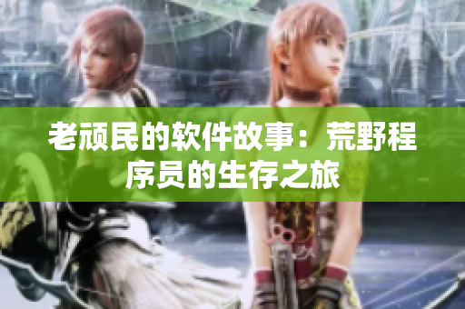 老顽民的软件故事：荒野程序员的生存之旅