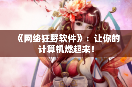 《网络狂野软件》：让你的计算机燃起来！