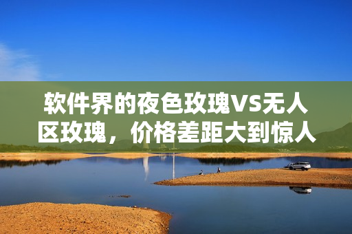 软件界的夜色玫瑰VS无人区玫瑰，价格差距大到惊人！