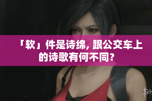 「软」件是诗绵, 跟公交车上的诗歌有何不同？