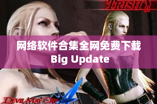 网络软件合集全网免费下载 Big Update