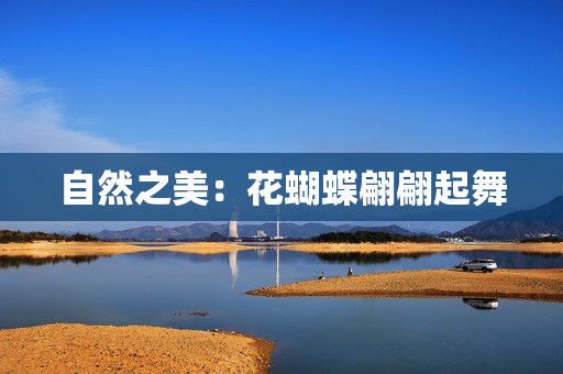 自然之美：花蝴蝶翩翩起舞