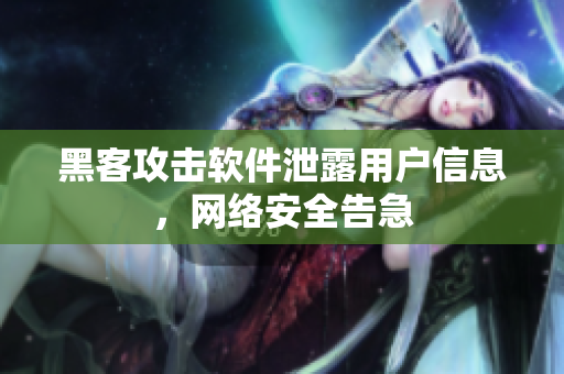 黑客攻击软件泄露用户信息，网络安全告急