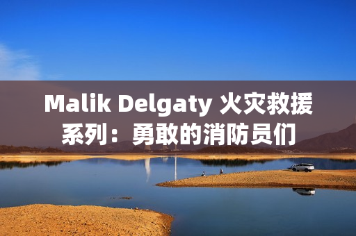 Malik Delgaty 火灾救援系列：勇敢的消防员们