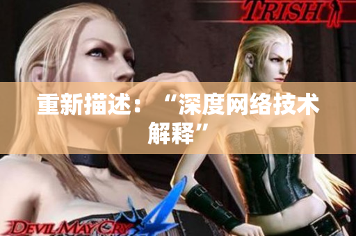 重新描述：“深度网络技术解释”