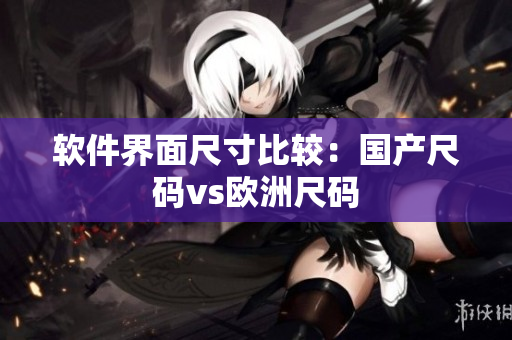 软件界面尺寸比较：国产尺码vs欧洲尺码
