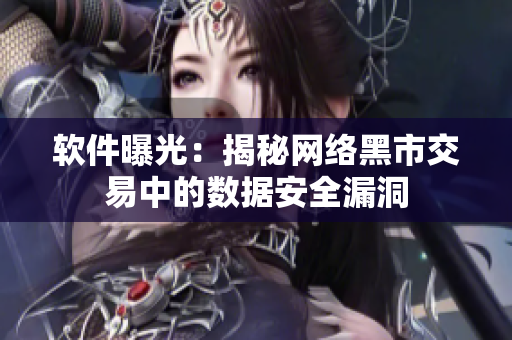 软件曝光：揭秘网络黑市交易中的数据安全漏洞