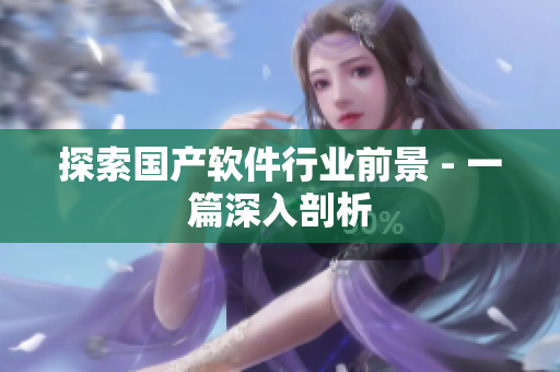 探索国产软件行业前景 - 一篇深入剖析
