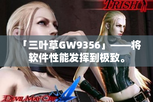 「三叶草GW9356」——将软件性能发挥到极致。