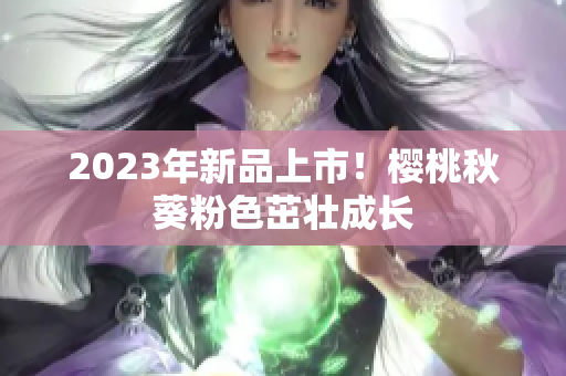 2023年新品上市！樱桃秋葵粉色茁壮成长