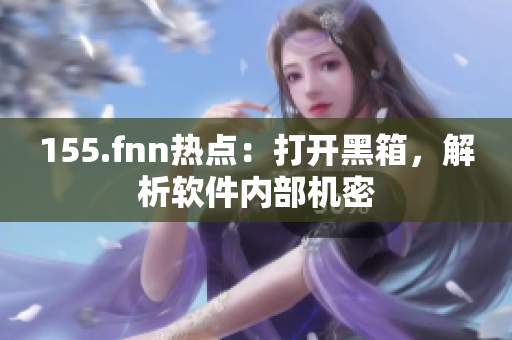 155.fnn热点：打开黑箱，解析软件内部机密
