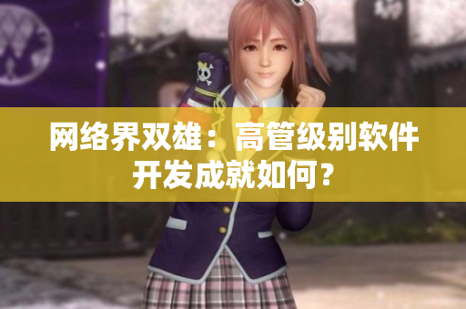 网络界双雄：高管级别软件开发成就如何？
