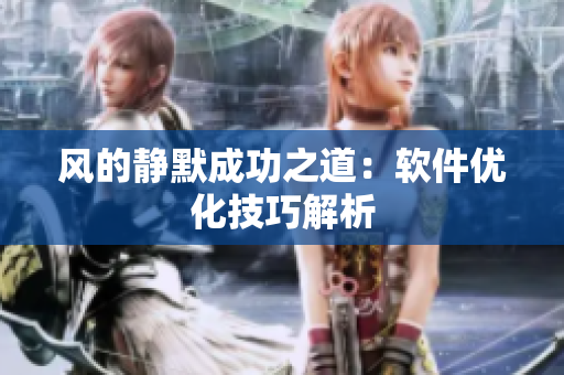 风的静默成功之道：软件优化技巧解析