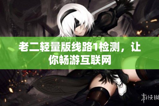 老二轻量版线路1检测，让你畅游互联网