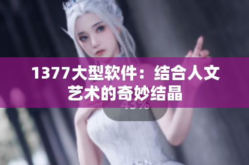 1377大型软件：结合人文艺术的奇妙结晶