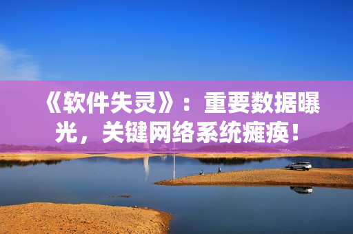 《软件失灵》：重要数据曝光，关键网络系统瘫痪！