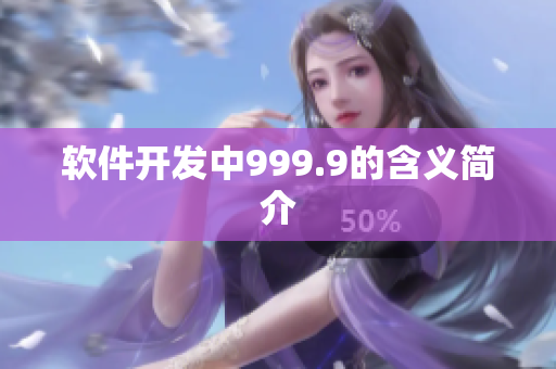 软件开发中999.9的含义简介
