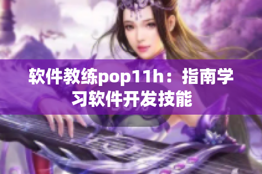 软件教练pop11h：指南学习软件开发技能