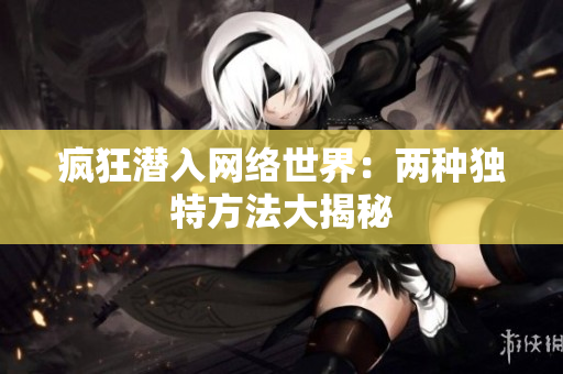 疯狂潜入网络世界：两种独特方法大揭秘
