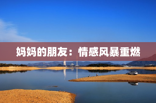 妈妈的朋友：情感风暴重燃