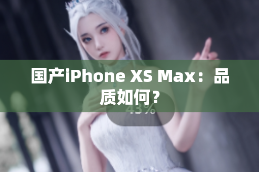 国产iPhone XS Max：品质如何？