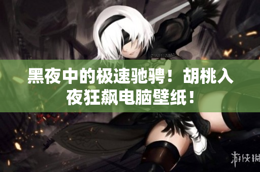 黑夜中的极速驰骋！胡桃入夜狂飙电脑壁纸！
