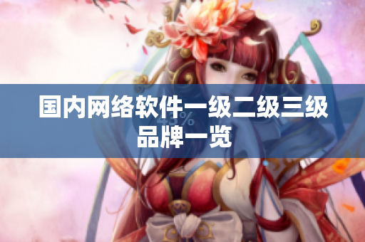 国内网络软件一级二级三级品牌一览