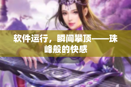 软件运行，瞬间攀顶——珠峰般的快感