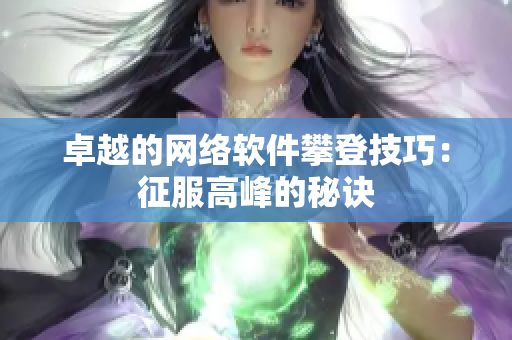 卓越的网络软件攀登技巧：征服高峰的秘诀