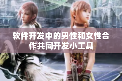 软件开发中的男性和女性合作共同开发小工具