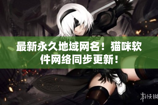 最新永久地域网名！猫咪软件网络同步更新！